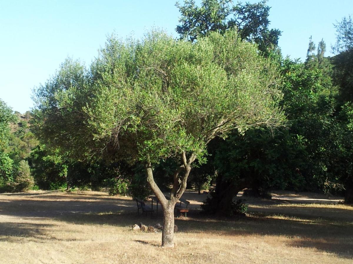 La Casa di Sara Villa Pula Bagian luar foto