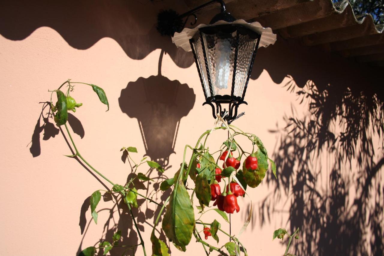 La Casa di Sara Villa Pula Bagian luar foto